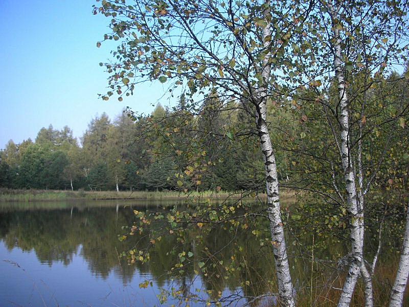 Riserva Naturale Pian Gembro
